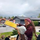 Bienen 2.jpeg