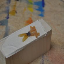 DSC_0078.JPG