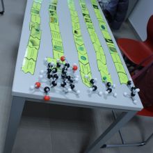 IMG_7480.JPG