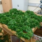 IMG-20191216-WA0003.jpg