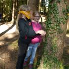 wald3.jpg