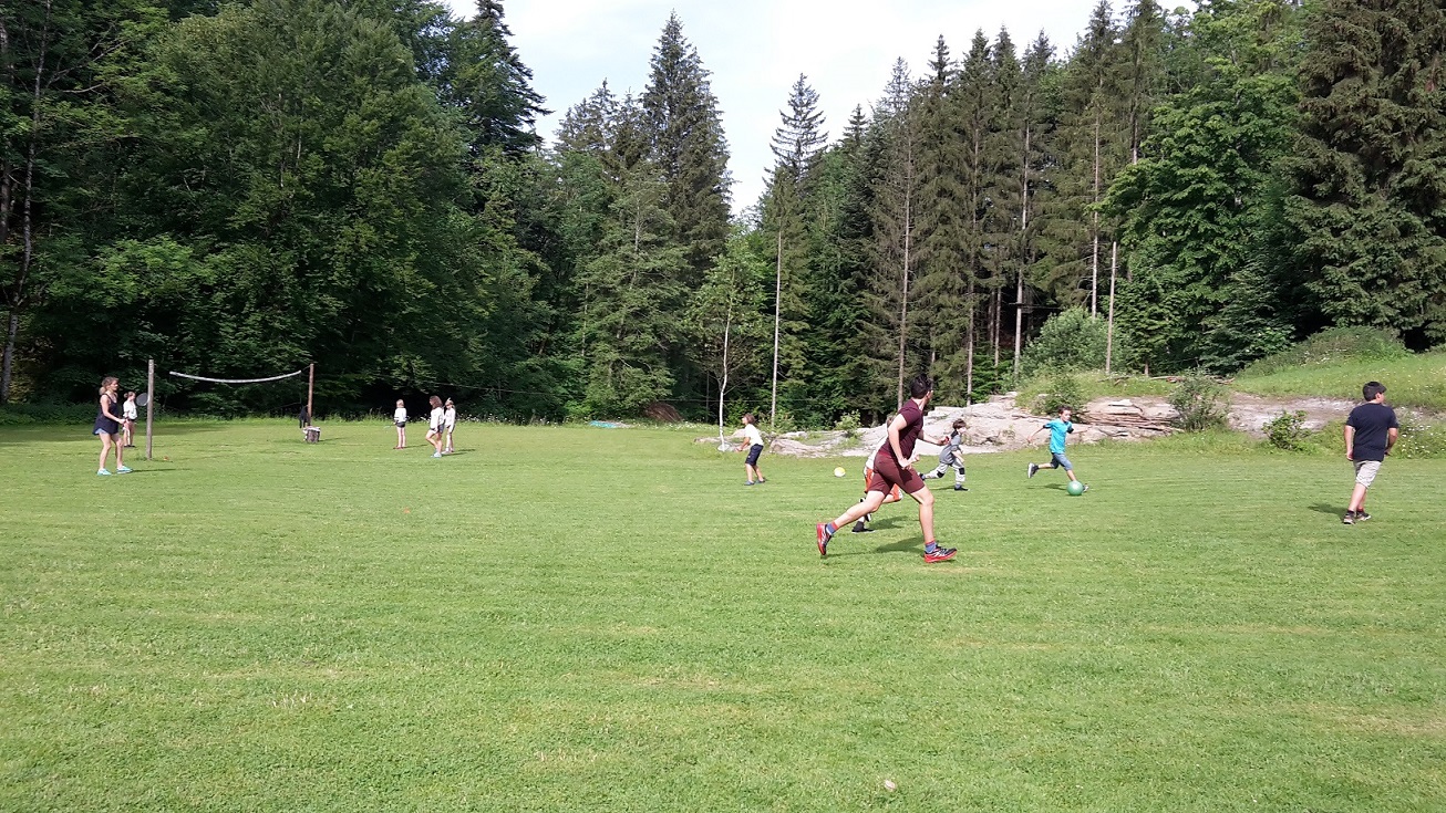 20180529_090838.jpg